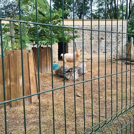 Mobil-home Tv Grande Terrasse - 3 - 6 Personnes - Clos Cottet - La Tranche-sur-mer - O'gliss Park Angles (Vendee)